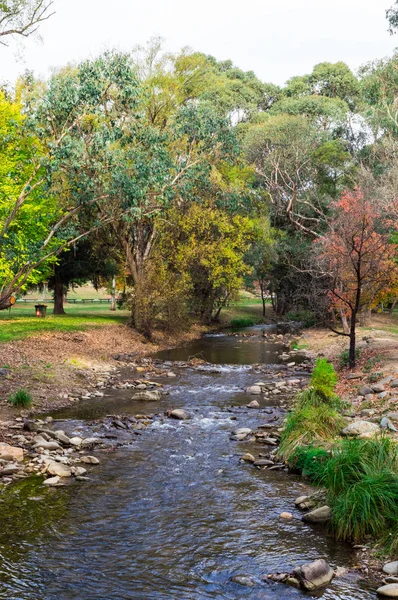 Φούρνοι Ποτάμι Ρέει Μέσα Από Harrietville Στο Αλπικό Shire Βόρειο — Φωτογραφία Αρχείου