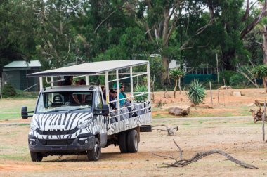Werribee Open Range Hayvanat Bahçesi Safari otobüs park aracılığıyla ziyaretçi alarak.