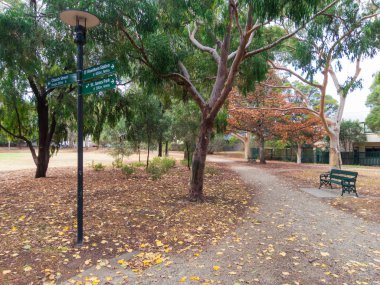 Melbourne yapraklı bir bölümünde Hawthorn Iç banliyö parkı.