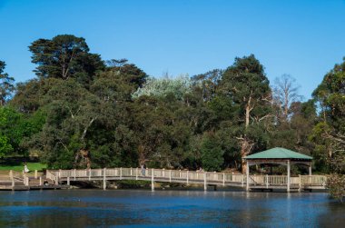 Dış surburban Ringwood Ringwood Lake karşısında Ahşap geçit.