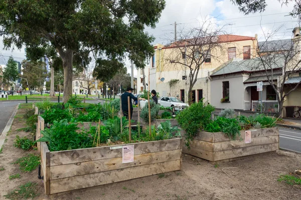 Community garden in the centre mediana pasa Courtney Street, North Melbourne. Obraz Stockowy