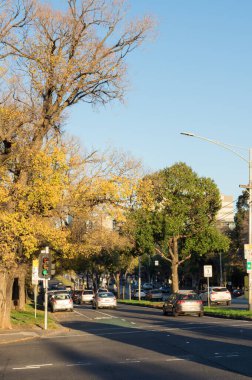 Flemington Road Melbourne şehir Parkville içinde.