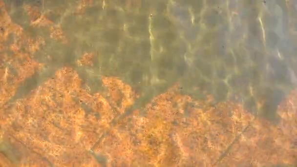 ondulations sur l'eau avec la réflexion de la lumière du soleil, augmentant vers la fin de la vidéo 