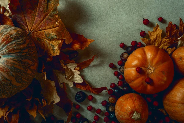Beyaz çiçek. Üst görüntü fotoğrafını kapat. Siyah arkaplanda izole.