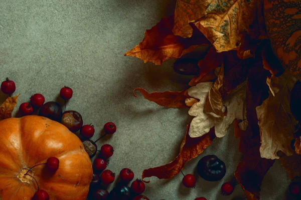 Beyaz çiçek. Üst görüntü fotoğrafını kapat. Siyah arkaplanda izole.