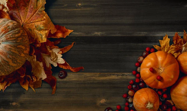 Beyaz çiçek. Üst görüntü fotoğrafını kapat. Siyah arkaplanda izole.