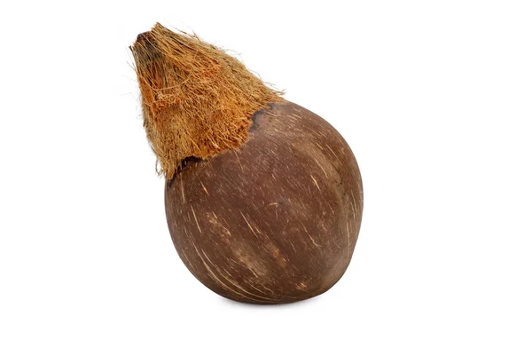 Hindistan cevizi beyaz arkaplanda izole edildi.