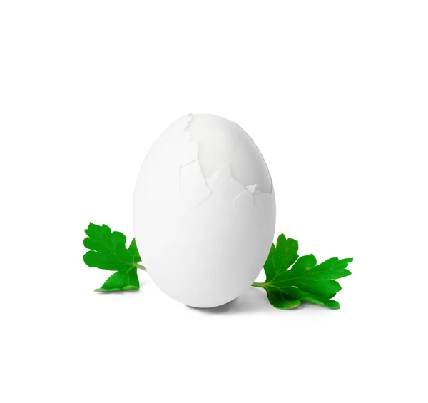 Тріснуте Яйце Петрушкою Ізольовані Білому Тлі Традиційний Символ Великодня — стокове фото
