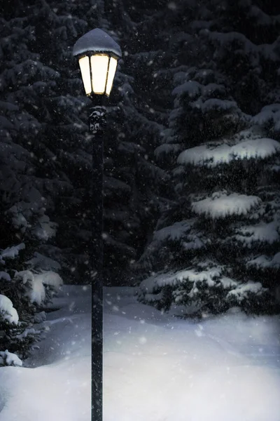 Fenerler Kar Altında Gece Parlıyor.