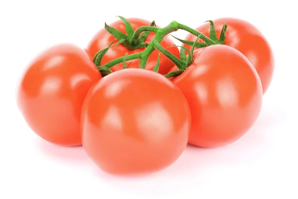 Pomodori Isolati Fondo Bianco — Foto Stock