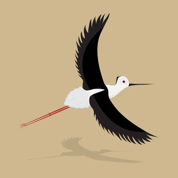 Vogel Kleine Reiger Vlak Ontwerp Vector Illustratie — Stockvector