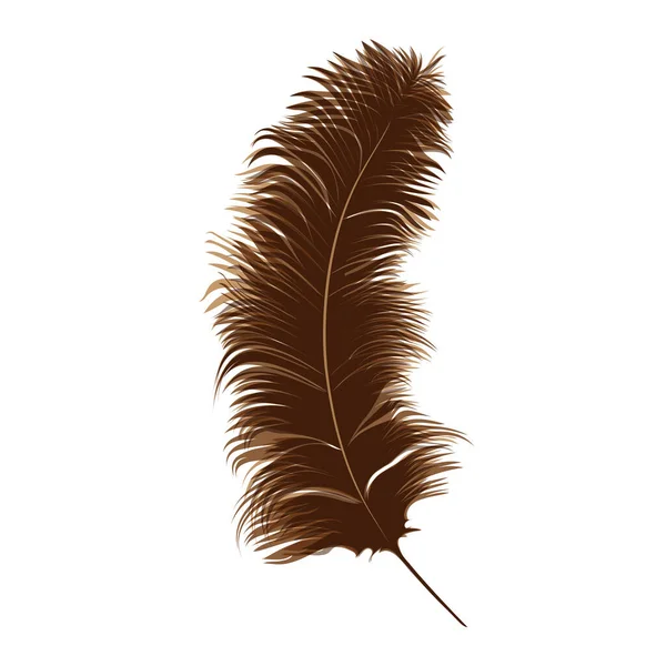 Feather Terisolasi Latar Belakang Putih Ilustrasi Vektor - Stok Vektor