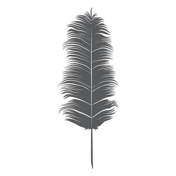 Feather Isolated White Background Vector Illustration — Stock Vector