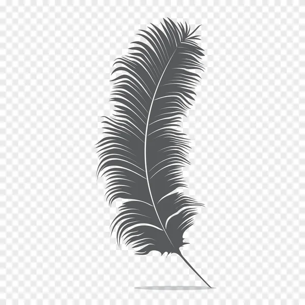 Feather Isolated White Background Vector Illustration — Stock Vector