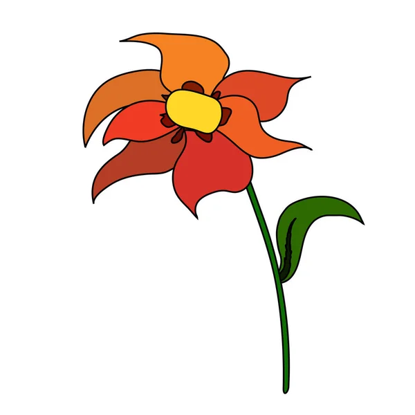 Beyaz arka planda soyut çiçek. Vektör illüstrasyonu.