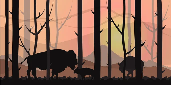 Δάσος Πολύχρωμο Τοπίο Bison Εικονογράφηση Διανύσματος — Διανυσματικό Αρχείο