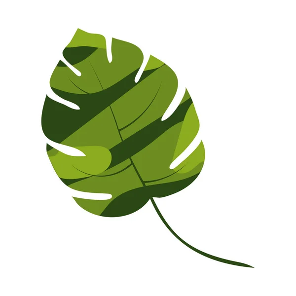 Jungle Leaf Isoliert Auf Weißem Hintergrund Vektorillustration — Stockvektor