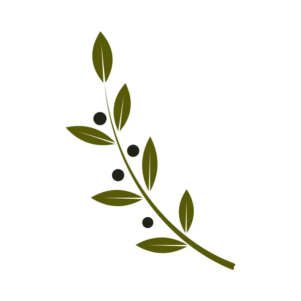 Olive Branch Flat Colorido Icono Sobre Fondo Blanco Ilustración Vectorial — Vector de stock