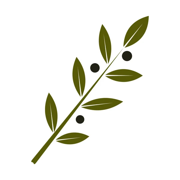 Olive Branch Platte Kleurrijke Icoon Witte Achtergrond Vector Illustratie — Stockvector