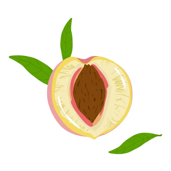 Pêssego Verão Fresco Fruta Colorida Ilustração Vetorial —  Vetores de Stock