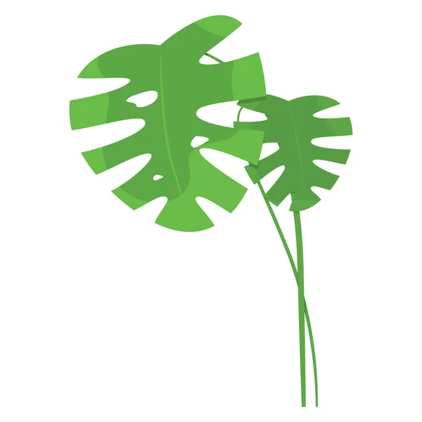 Planta Monstera Sobre Fondo Blanco Para Naturaleza Horario Verano Flyer — Vector de stock