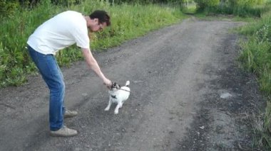 Köpek jack Russell terrier sopa ve adam ile oynama