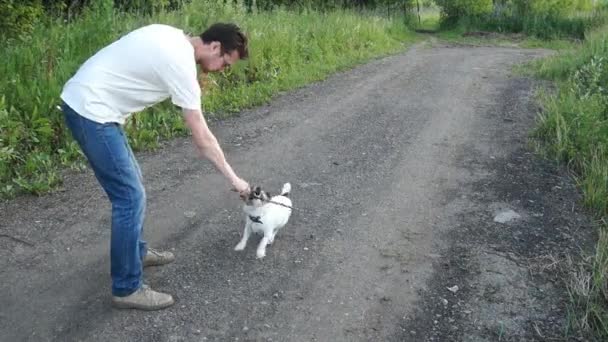 Dog jack Russell terrier bermain dengan tongkat dan manusia — Stok Video