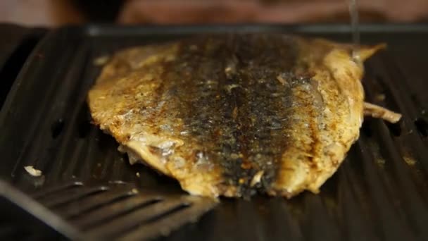 Σκουμπρί. Ψάρι στη σχάρα. Τα ψάρια στη σχάρα. Σεφ μαγειρεύει ψάρια — Αρχείο Βίντεο