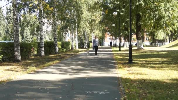 Vrouw lopen met de hond in park. Zwanger meisje. Zwangere vrouw in park — Stockvideo