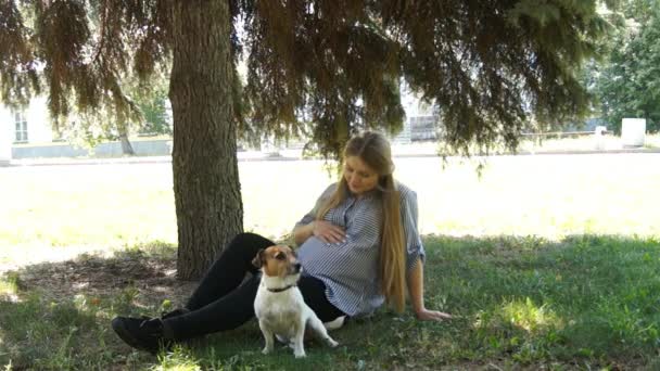 Una donna che cammina con il cane nel parco. Ragazza incinta. Donna incinta nel parco — Video Stock