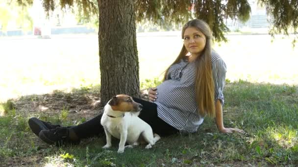 Promenade de femme avec chien dans le parc. Une fille enceinte. Femme enceinte dans le parc — Video