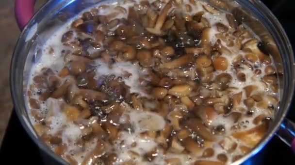 Cooking mushrooms. Boletus. Vegetarian food. Chef cooking. Mushrooms in a pan — Stock Video