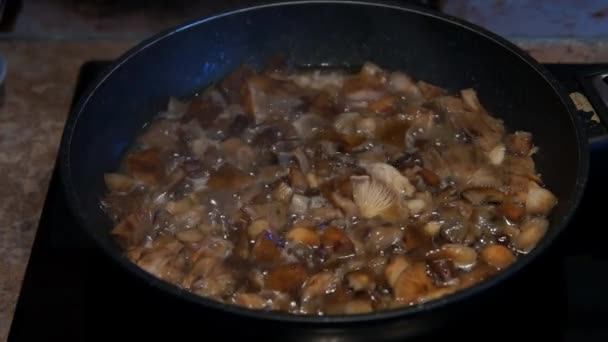 Friggere i funghi. Cibo vegetariano. Cuoco che cucina. Funghi in una pentola — Video Stock