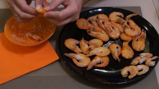 Hombre comiendo camarones. Cerveza y camarones. El hombre limpia los camarones — Vídeos de Stock