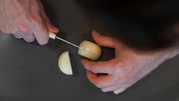 Le chef coupe l'oignon. Processus de cuisson. Mains coupant l'oignon. Chef tranche l'oignon — Video