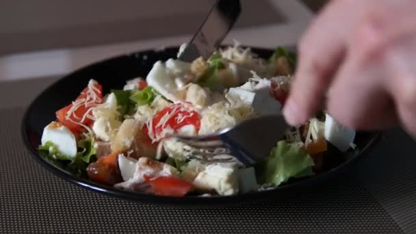 Salada Caesar. Chef a cozinhar César. Processo de cozedura. Salada fresca. Frango César — Vídeo de Stock