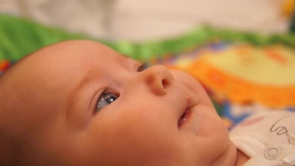 Bebé recém-nascido. Bebé. Bebé a olhar para a câmara. Criança. Adorável bebê menina — Vídeo de Stock
