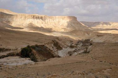 Ein Akev spring in Negev desert, Israel