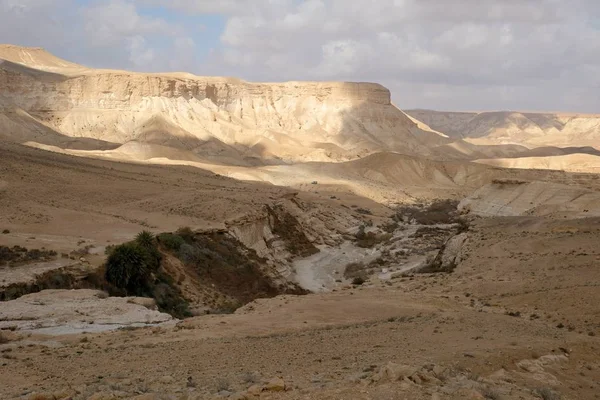 Ein Akev Primavera Nel Deserto Del Negev Israele — Foto Stock