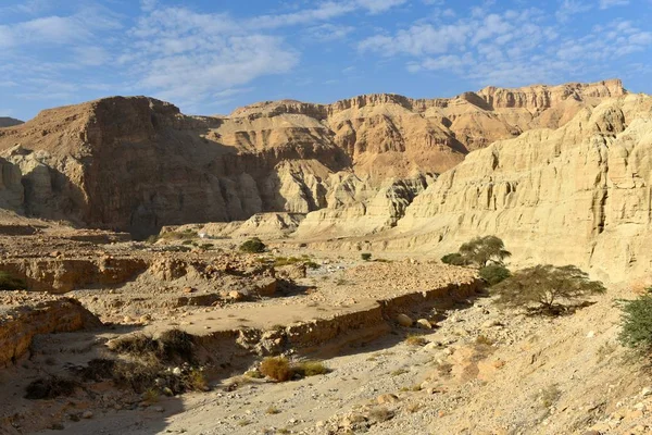 Paesaggio montuoso del deserto . — Foto Stock