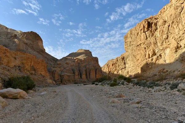 Paesaggio montuoso del deserto . — Foto Stock