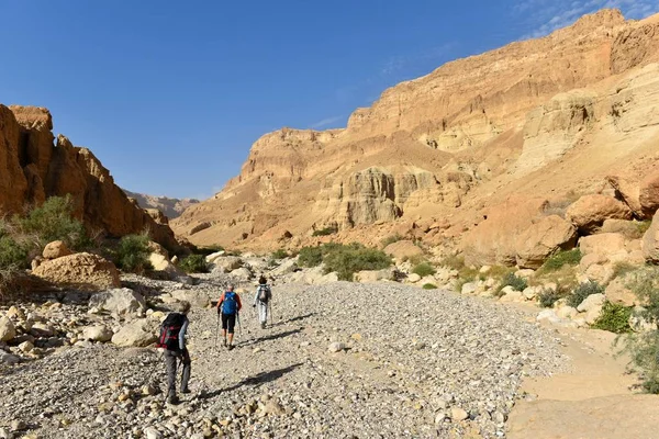 Deserto paisagem montanhosa . Imagem De Stock