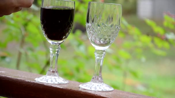 Dois copos de vinho derramando vinho de uma garrafa em um fundo de folhagem verde. Conceito de outono com taças de vinho tinto, garrafas de vinho, paisagem vinícola e uvas na natureza . — Vídeo de Stock