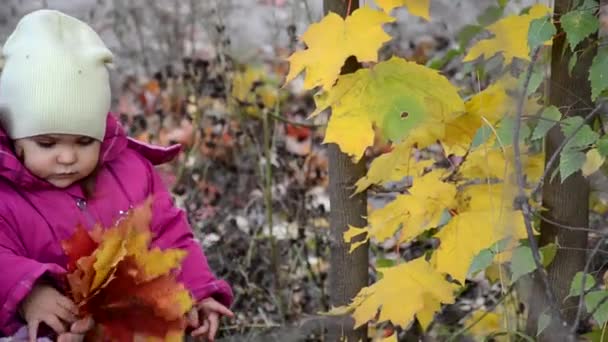 Mutter und Tochter gehen im herbstlichen Wald spazieren. schöne rote, gelbe Blätter und roter Regenschirm. junge Mutter und kleine Kleinkind Tochter Mädchen in Baskenmütze und Mantel Spaziergang im herbstlichen Wald. — Stockvideo