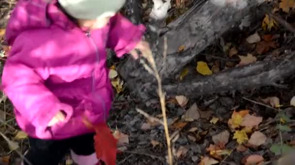 Mamá y su hija están caminando en el bosque de otoño. Hermosas hojas rojas, amarillas y paraguas rojo. Joven madre y niña pequeña hija en una boina y un paseo abrigo en el bosque de otoño . — Vídeos de Stock