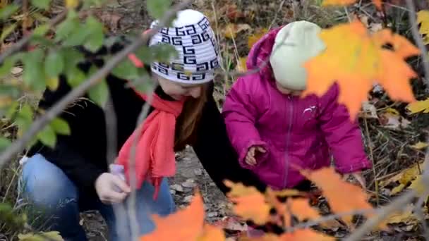妈妈和女儿在秋天的森林里散步。美丽的红、黄叶和红伞。年轻的母亲和小幼儿女儿女孩在贝雷帽和外套走在秋天的森林. — 图库视频影像