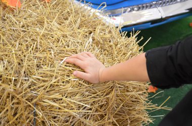 Sonbaharda kırsal kesimde saman yığınını toplayan turuncu ve yeşil balkabakları Şükran Günü 'ne, Cadılar Bayramı' na katılıyor. Kırsal sonbahar manzarası, saman yığını, balkabağı, klasik araba