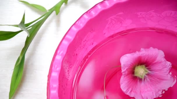 Bakgrund av ett spa med rosa blomma på vatten i ett handfat och en kvist av grön bambu — Stockvideo
