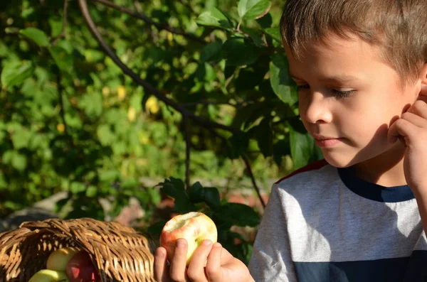Young Country Boy Eating Apple Apple Farm Child Kid Eat — Stock Photo, Image