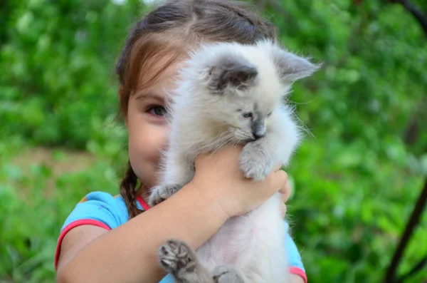 Holčička Koťátkem Rukách Zblízka Nejlepší Přátelé Interakce Dětí Domácími Zvířaty — Stock fotografie